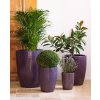 Provencelia Pots 163