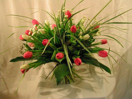 tulipany tanacetum