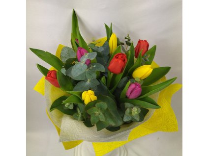 donaska kvetov kosice