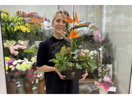 Exotický kvetinový box so strelíciou