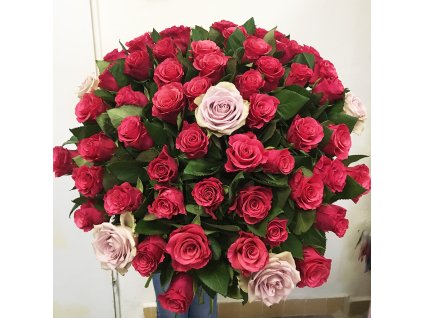 60 Cyklamenových ruží