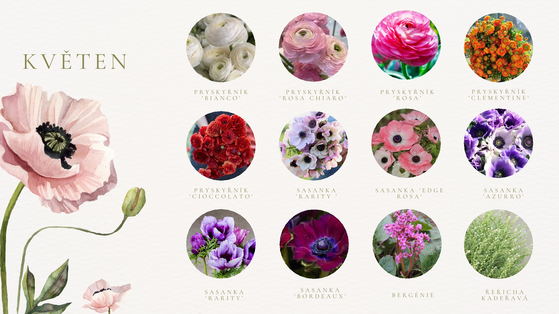 Květinový kalendář: Měsíc po měsíci