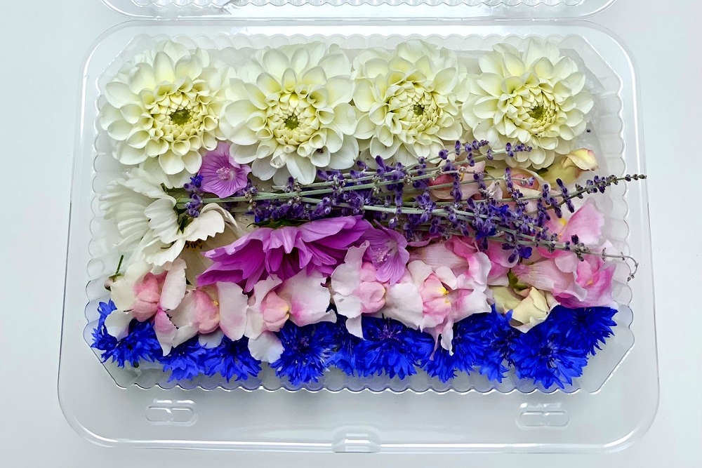 Jedlé květy - recepty/návody