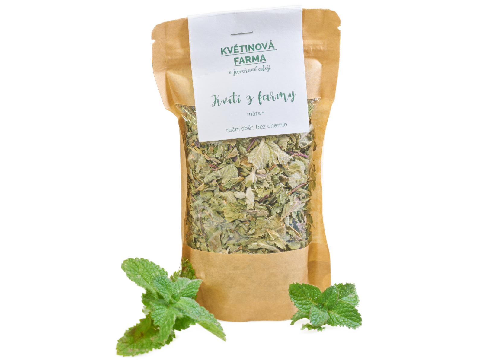 Máta z farmy: svěžest, která probudí smysly