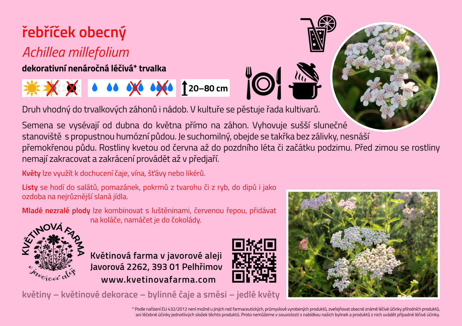 Achillea-millefolium-1600