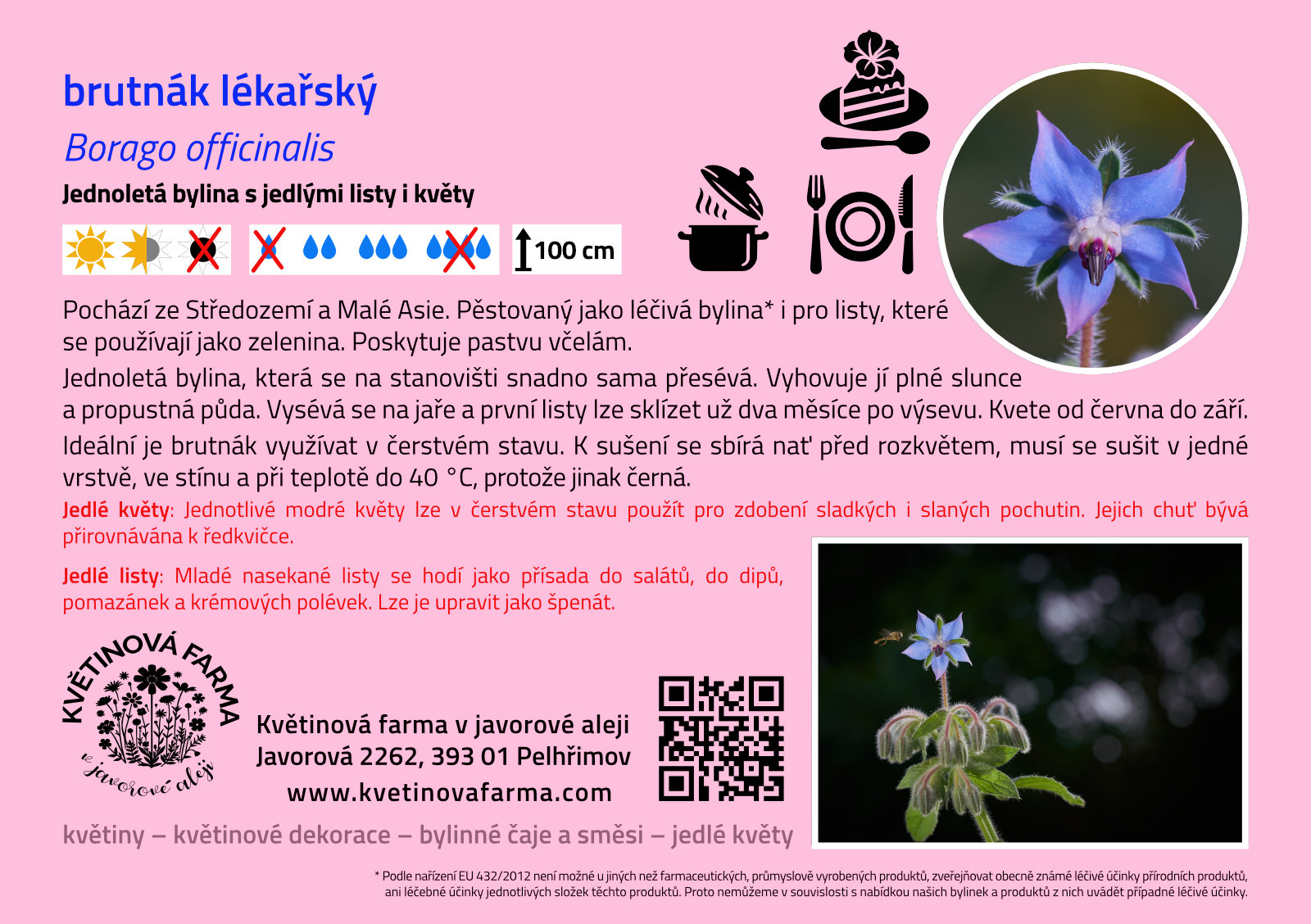 Borago-officinalis_1600