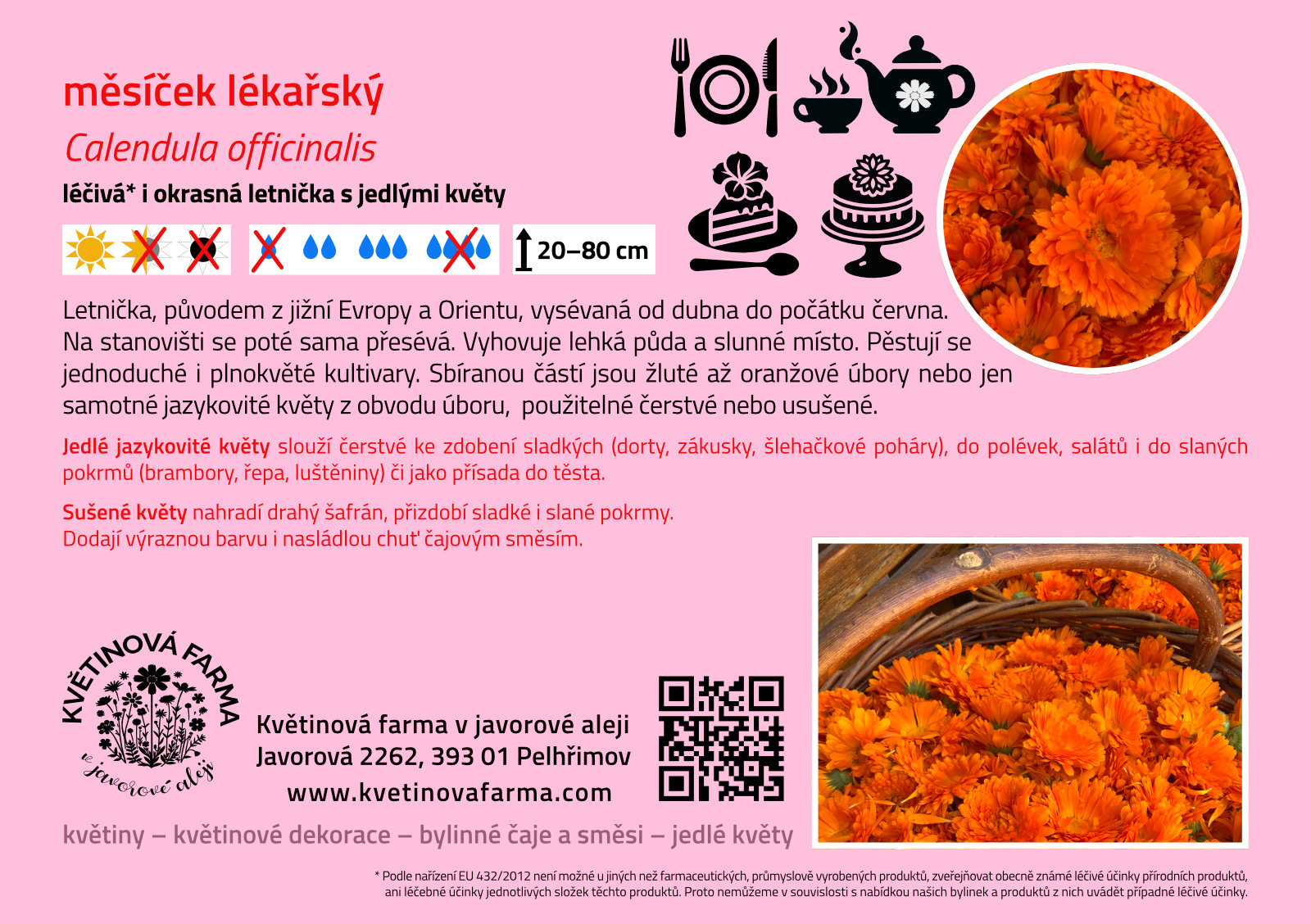 Calendula-officinalis-1600