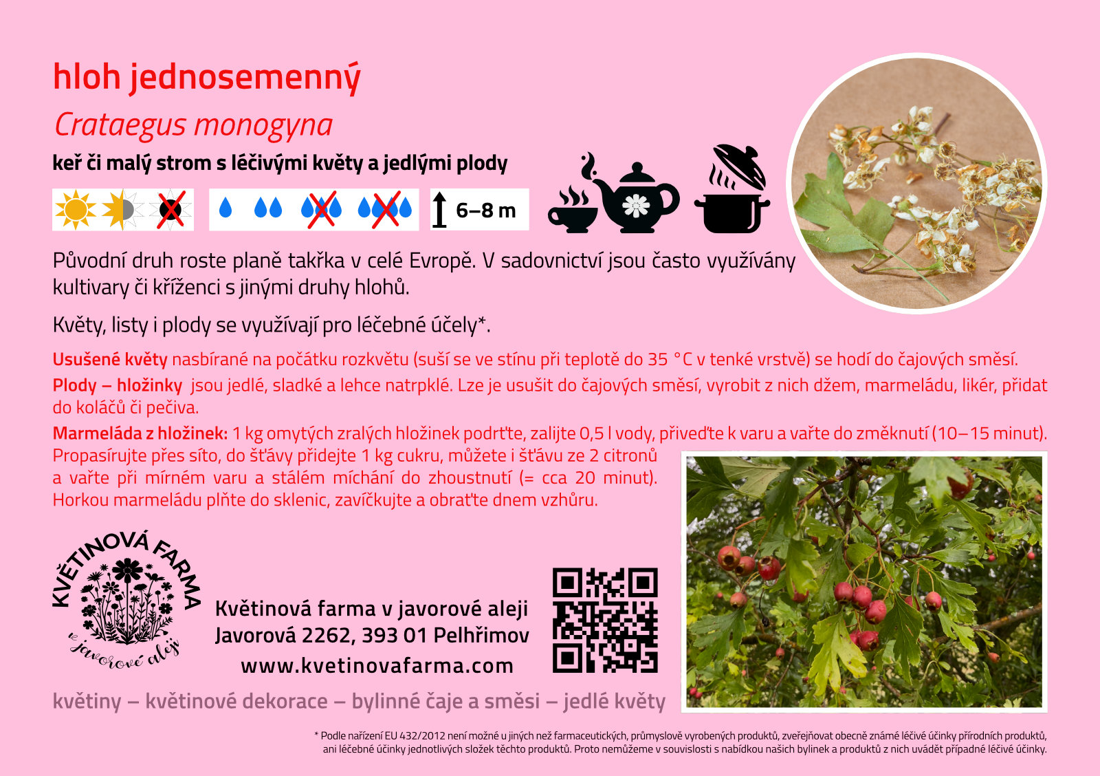 Crataegus-monogyna-1600