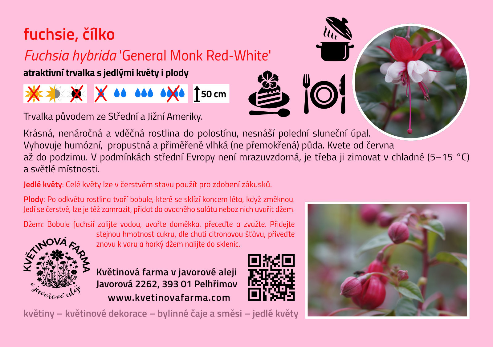Fuchsia-hybrida-General-Monk-Red-White_1600