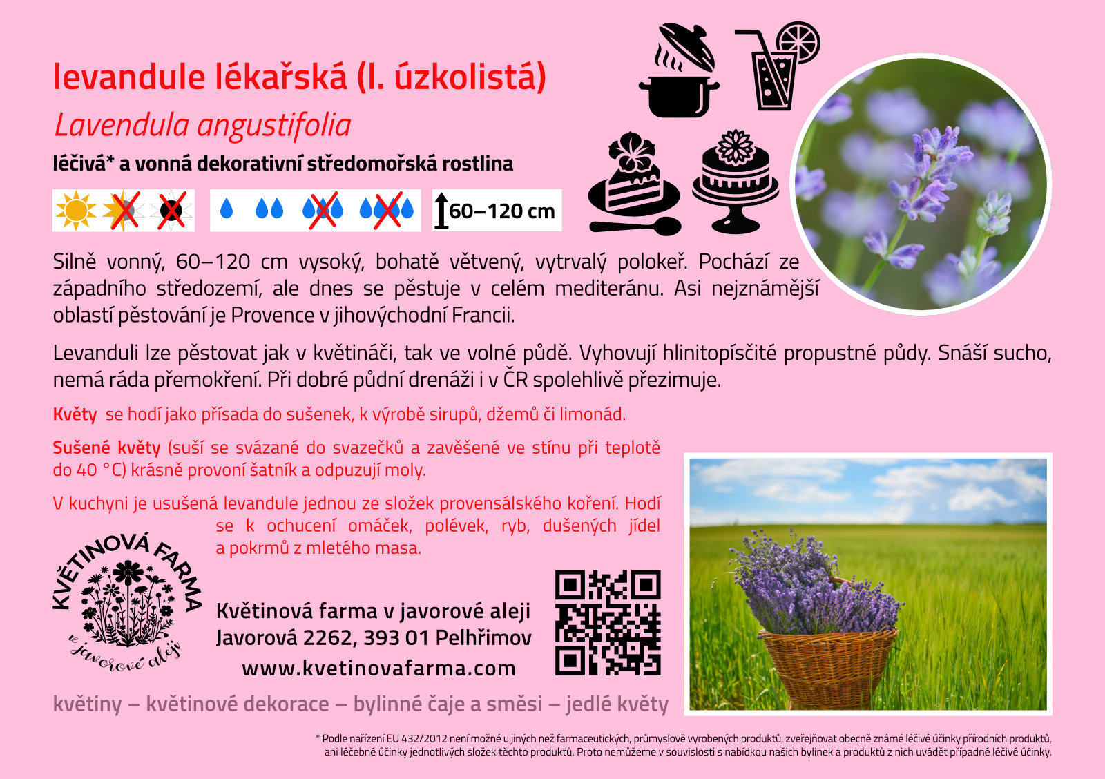 Lavandula-angustifolia-1600