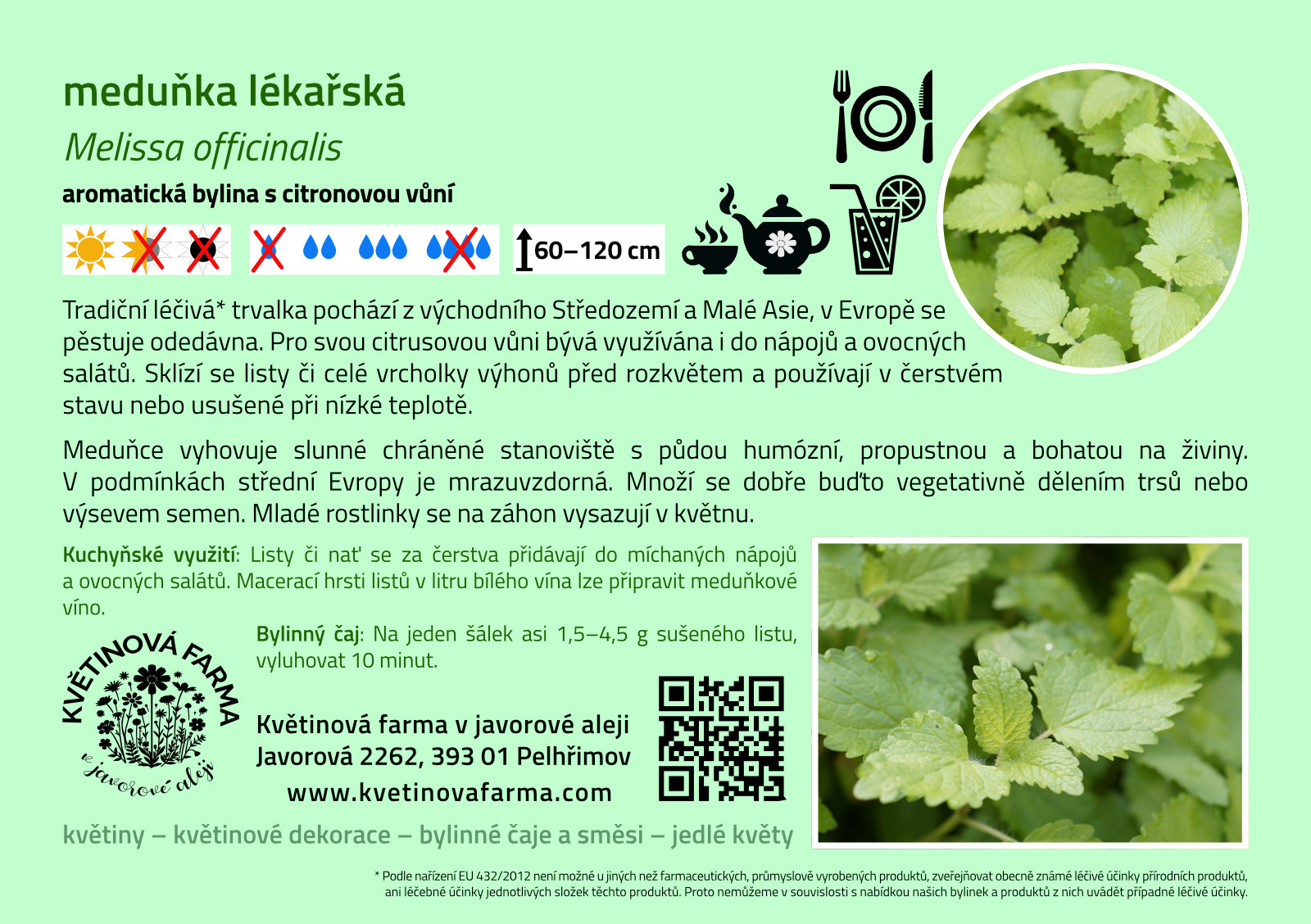 Melissa-officinalis-1600