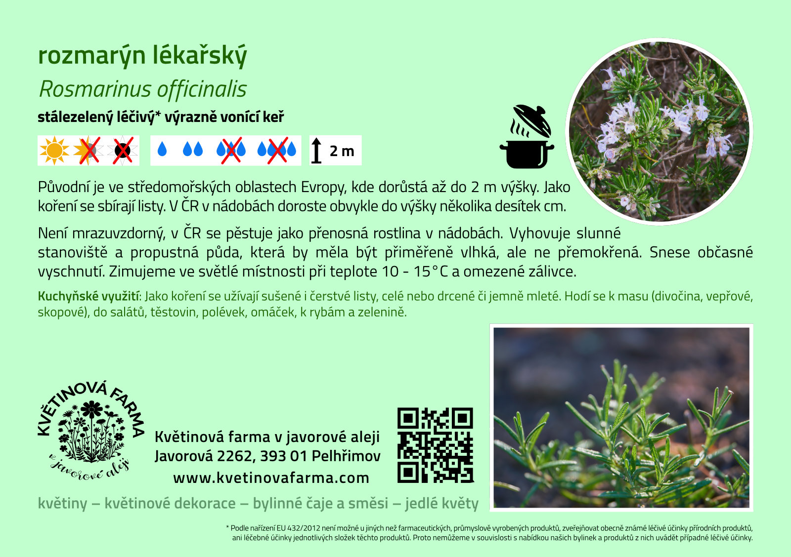 Rosmarinus-officinalis-1600