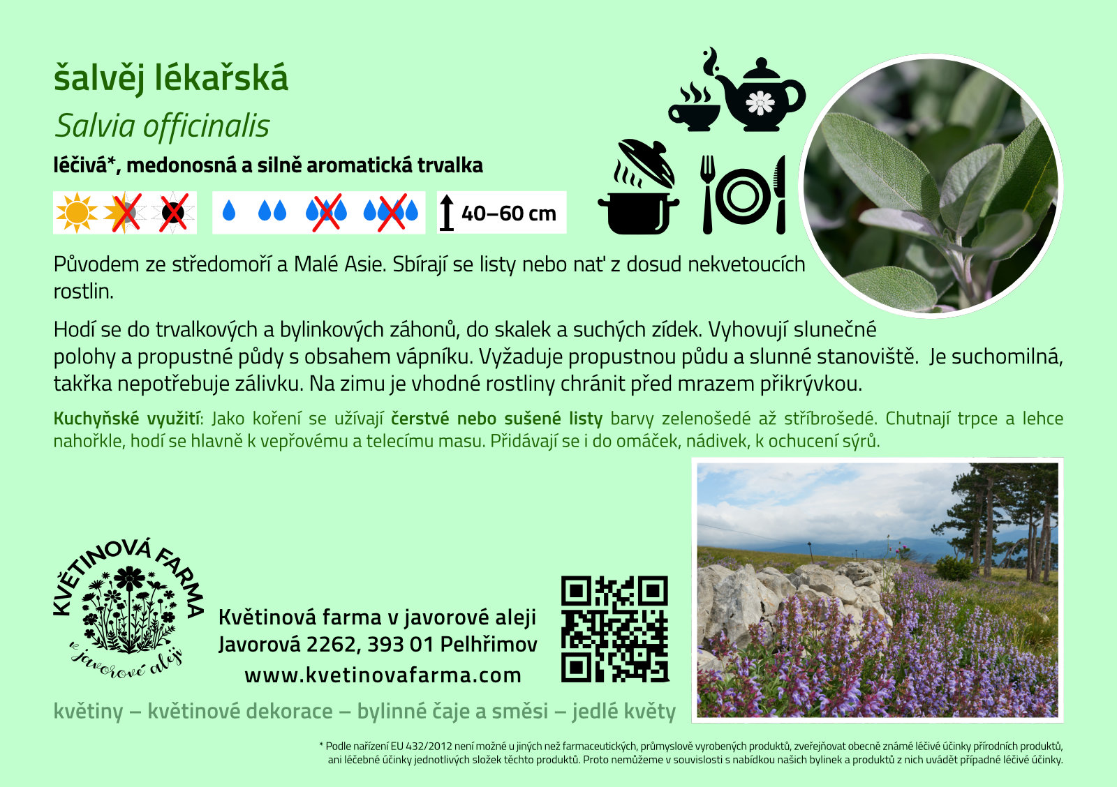 Salvia-officinalis-1600