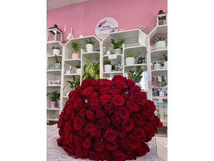 Rudé růže