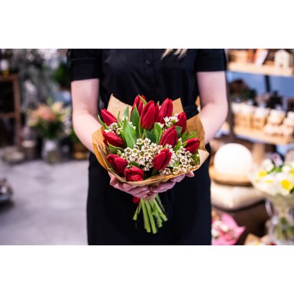 Červený tulipán a opuč