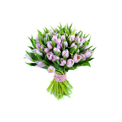 světle růžový tulipán k doručení online Brno