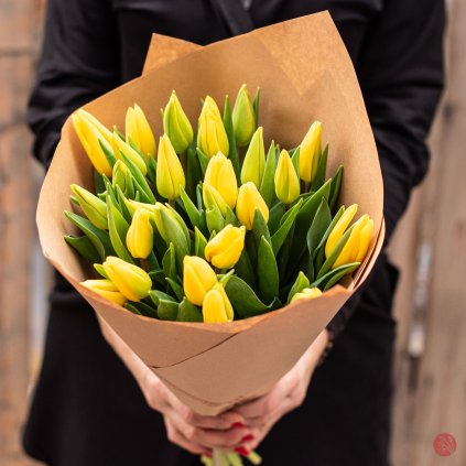 žlutý tulipán k doručení v Brně - kvetinybrno.cz