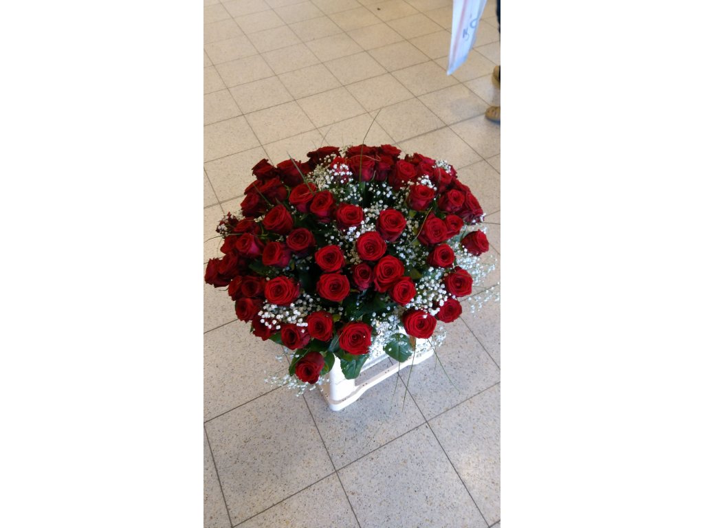 Růže red special