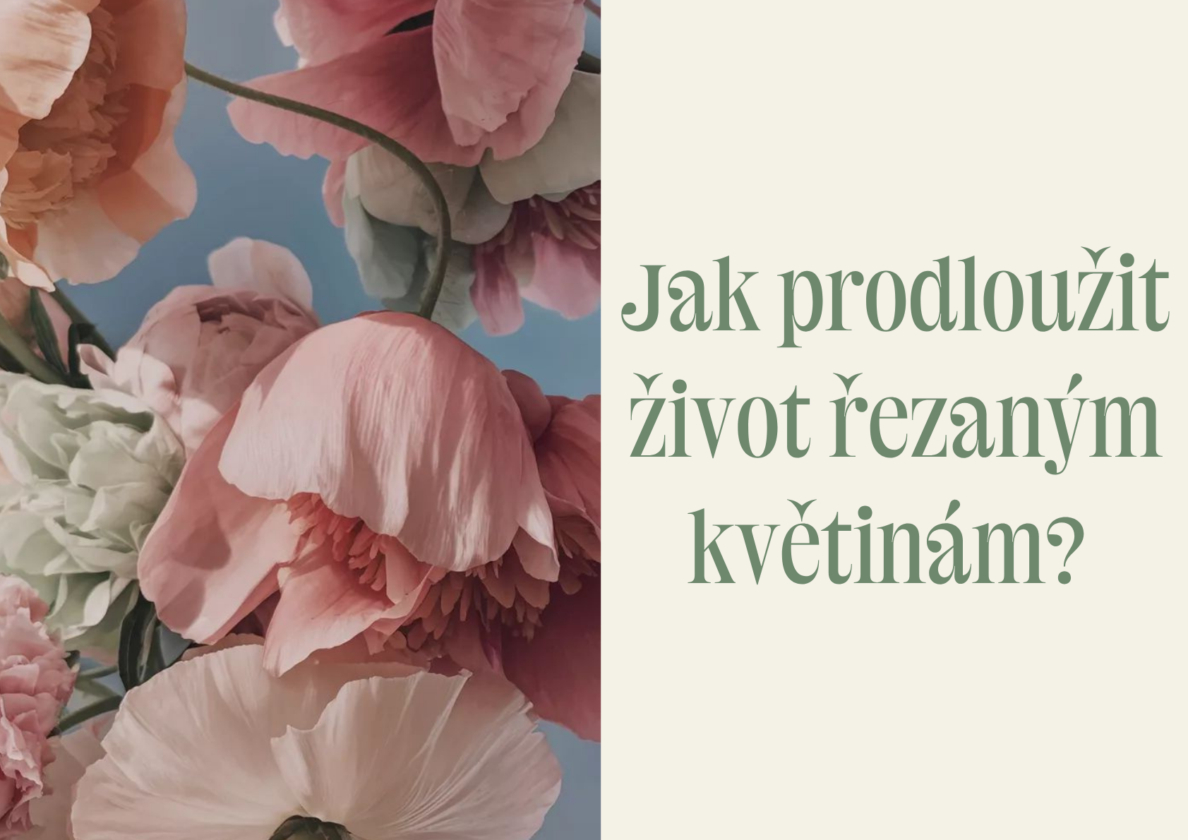 Jak prodloužit život řezaným květinám? 10 floristických tipů, které opravdu fungují