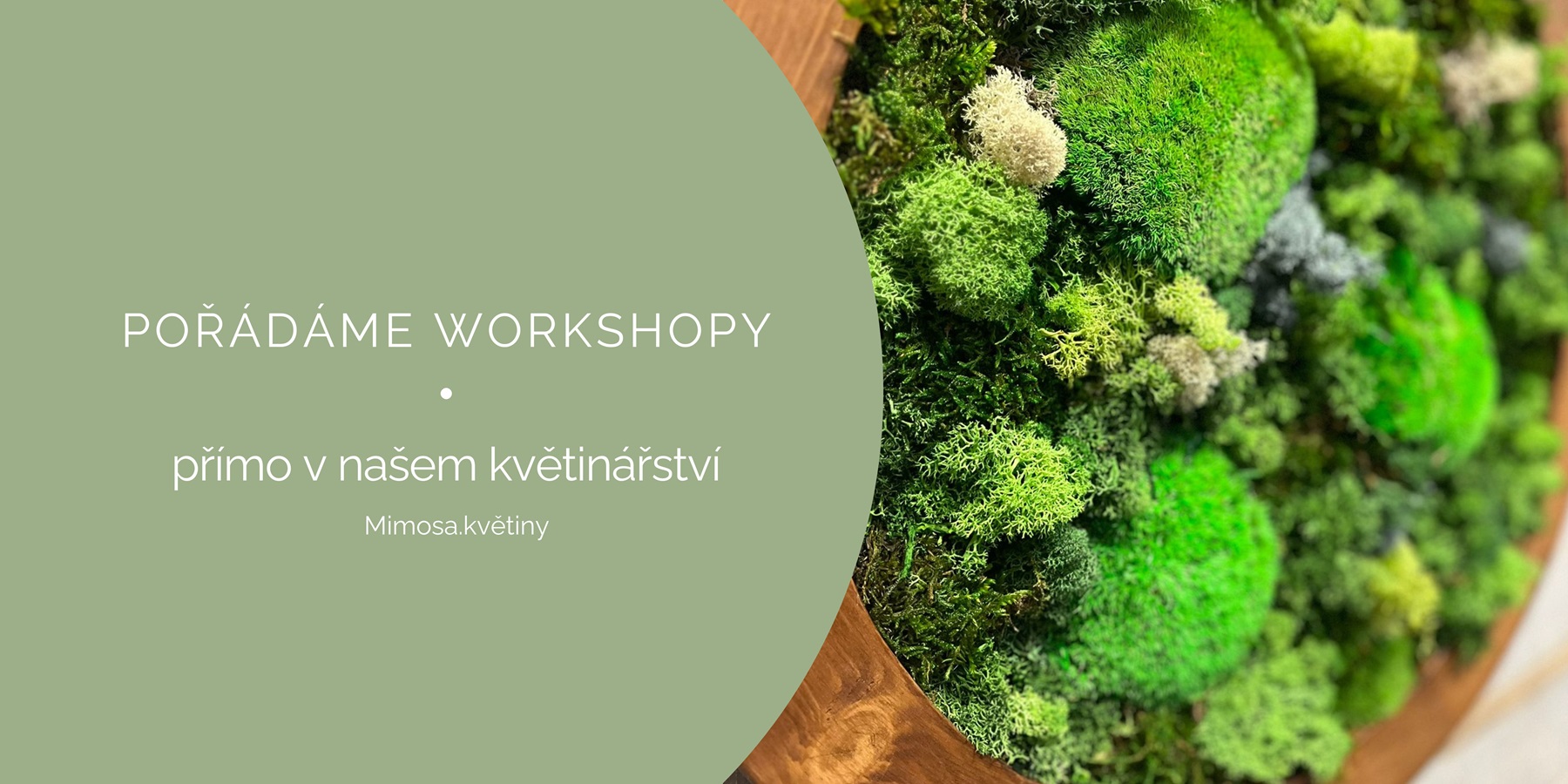 Pořádáme workshopy