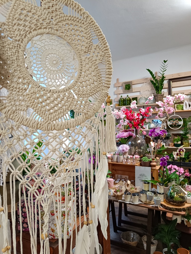 mimosa-blansko-kvetinarstvi