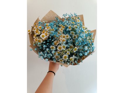 bila modra kytice hermanek gypsophilla