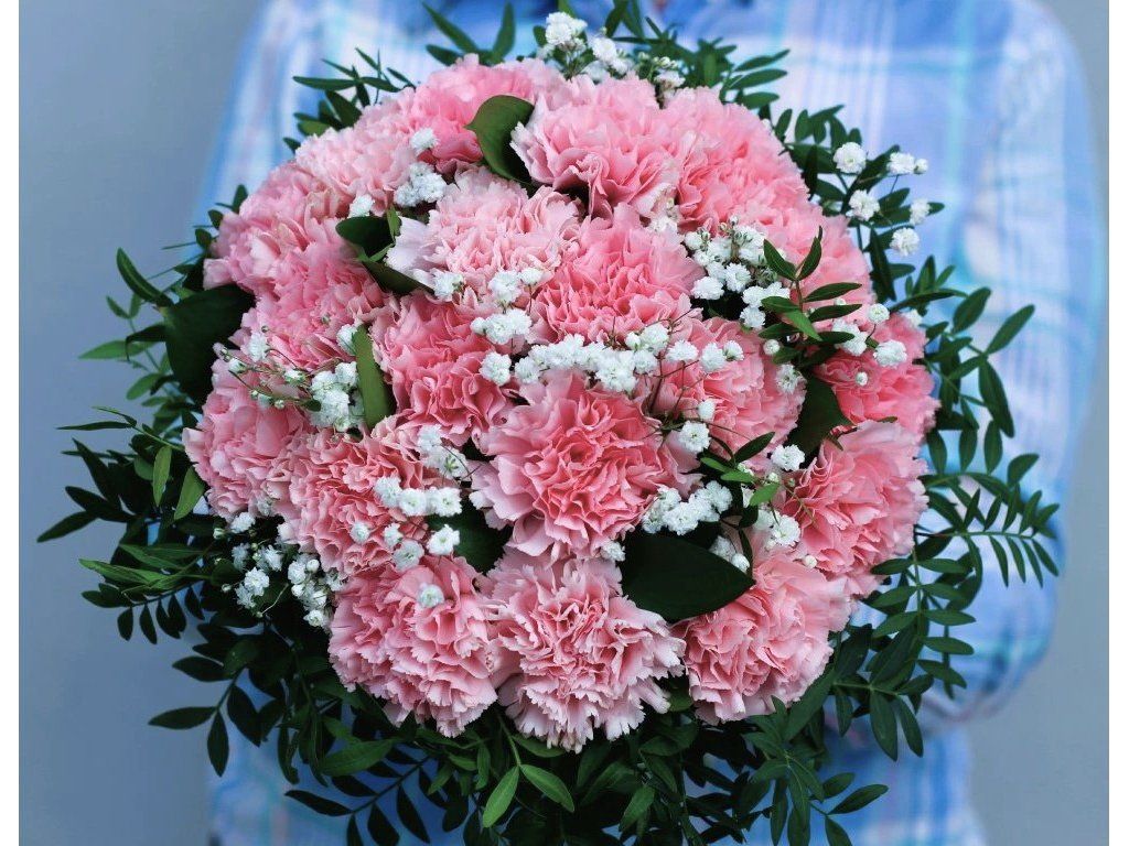 KYTICE RŮŽOVÝCH KARAFIÁTŮ  Jemná romantická kytice