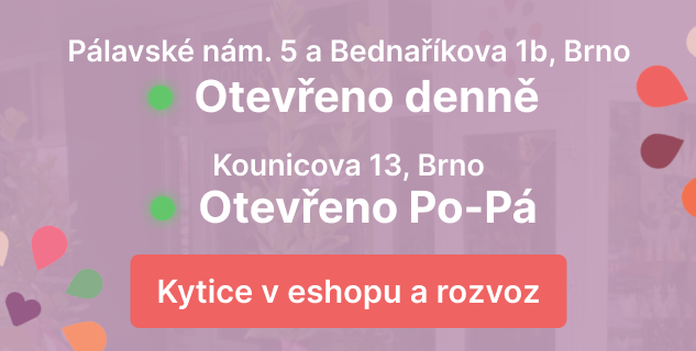 Otevřeno denně