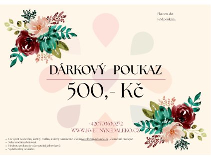 Dárkový poukaz 500