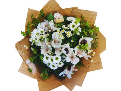 Návrh bez názvu (11)