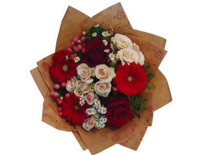 Návrh bez názvu (8)