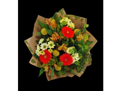 10c2be97 560f 468a a270 2f63ae8556c3