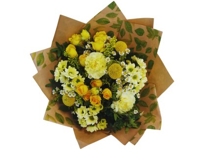 Návrh bez názvu (7)