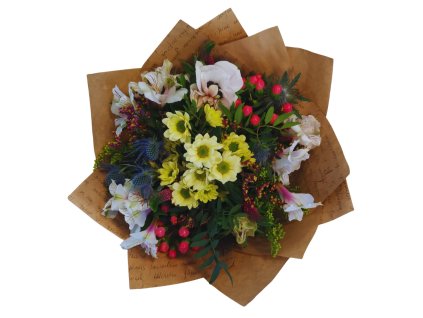 Návrh bez názvu (9)