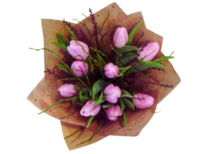 Návrh bez názvu (13)