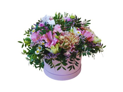 Návrh bez názvu (5)