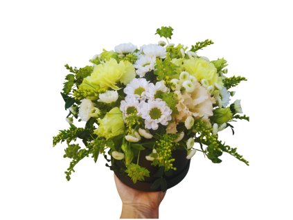 Návrh bez názvu (3)