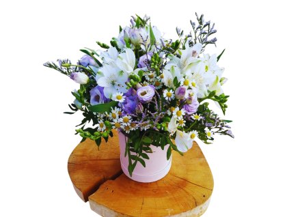 Návrh bez názvu (6)