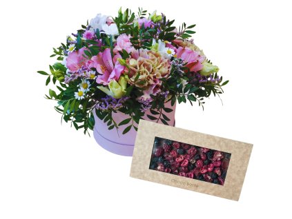 Návrh bez názvu (17)