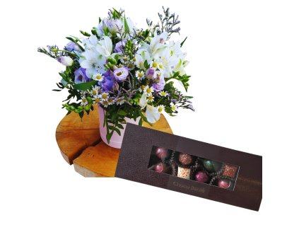 Návrh bez názvu (20)