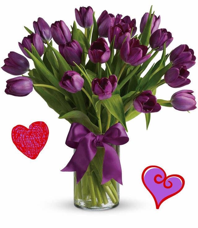 20_purple_tulips_large_image__75503