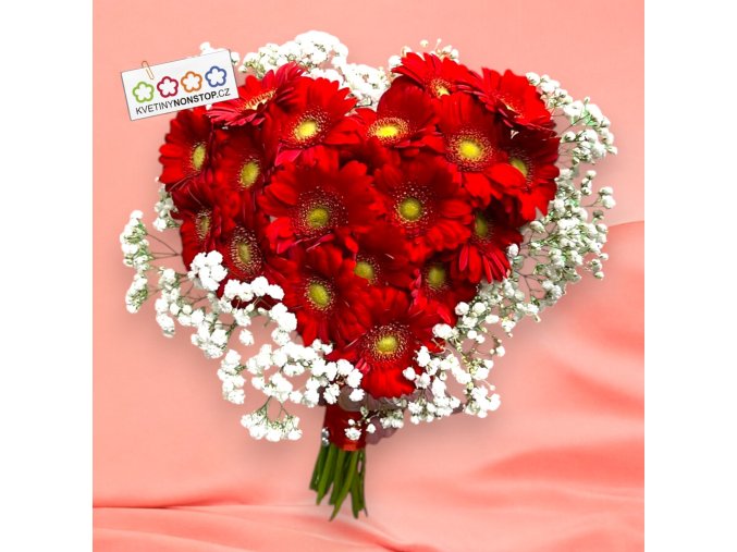 Srdce r gemínek obložené gypsophilou 21