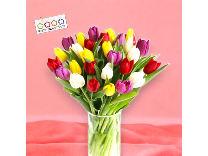 Tulipánová mix 25ks