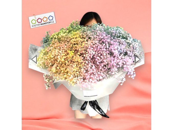 25x Gypsophila mix v manžetě