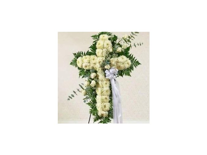 vyr 43 Beli kriz 1 300x300