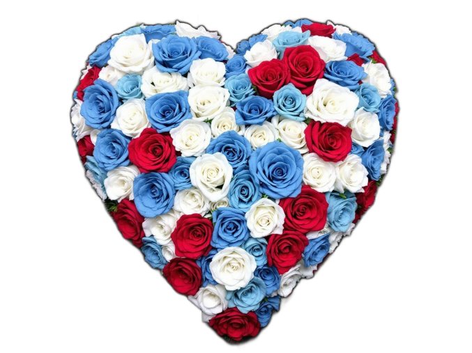 vyr 130 image user176582 1731189628zhApY