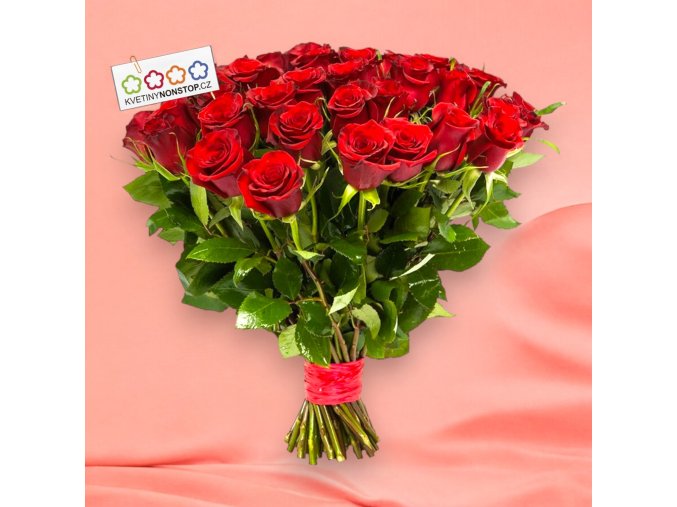 vyr 206 Anezka Photoroom