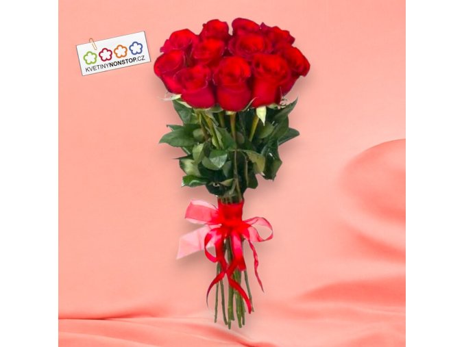 vyr 208 Lara Photoroom