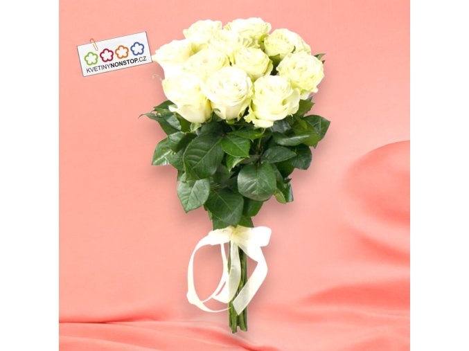 vyr 209 Leontynka Photoroom