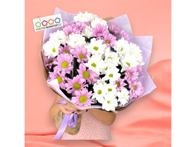 vyr 212 7x chrysantema v manzete Photoroom